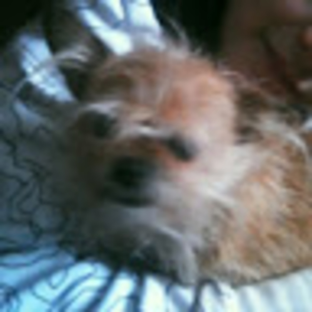 Meet your Posher, Mindy